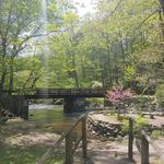 Stephens State Park
