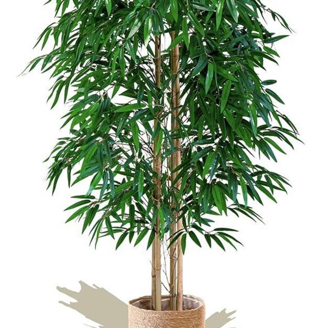 Maia Shop Bamboo, Artificial Tree with Natural Canes, Made with The Best Materials, Ideal for Home Decoration, Artificial Plant 5 feet Tall - 60 inches