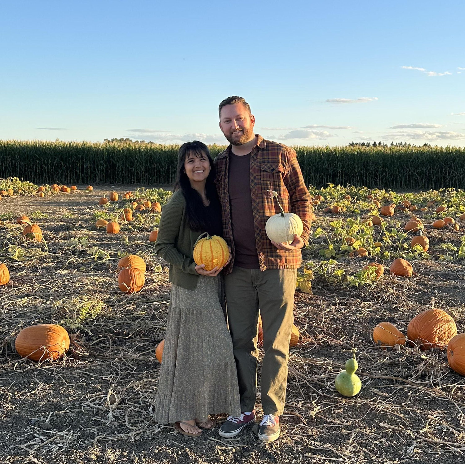 Pumpkin Patch