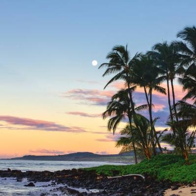 Kauai Honeymoon Fund