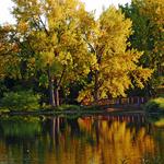 The Hudson Gardens
