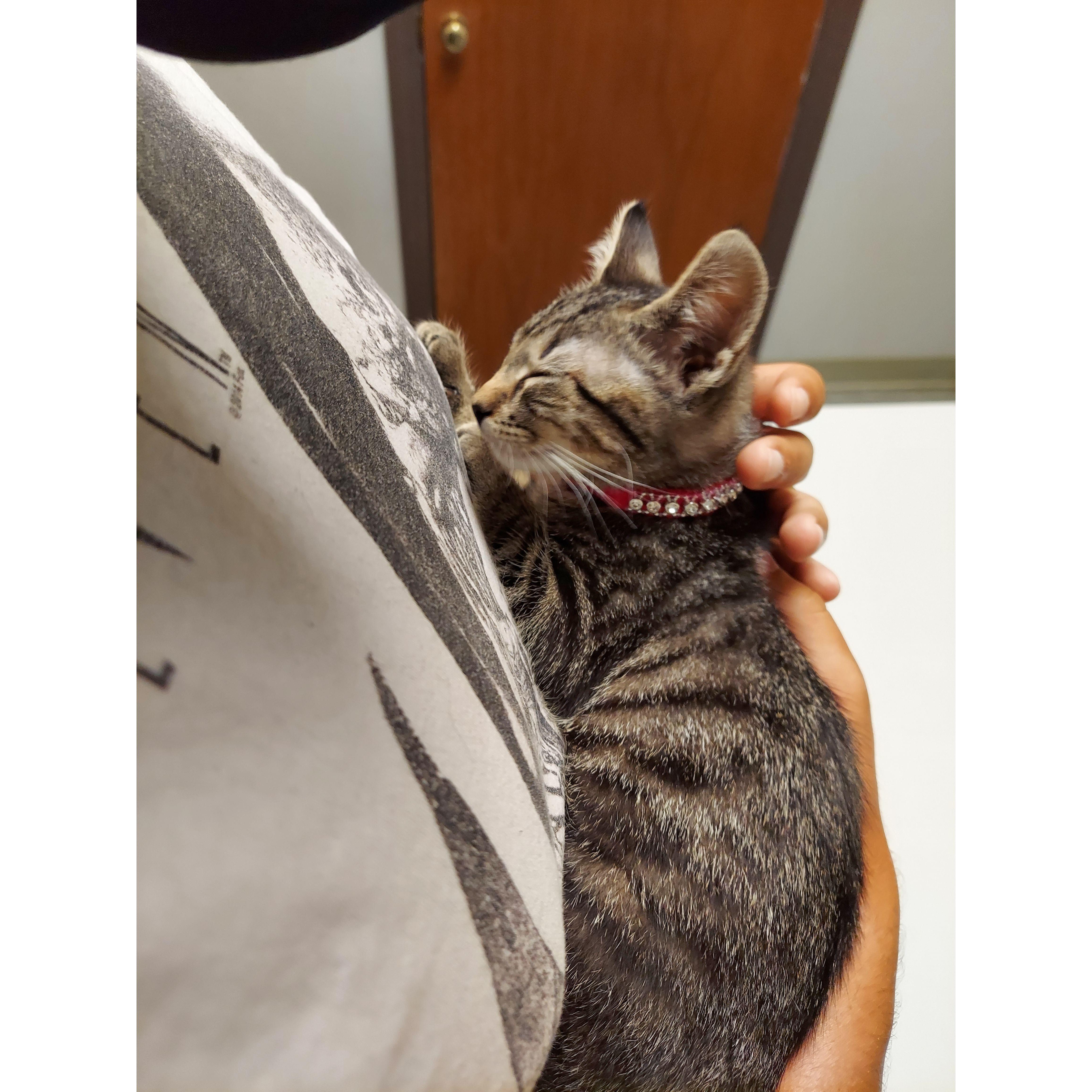 This was Ripley's first visit to the vet when we were just fostering and definitely NOT going to keep her. Needless to say, she never left.