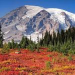 Mount Rainier National Park