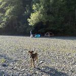 Beach Tent Camping