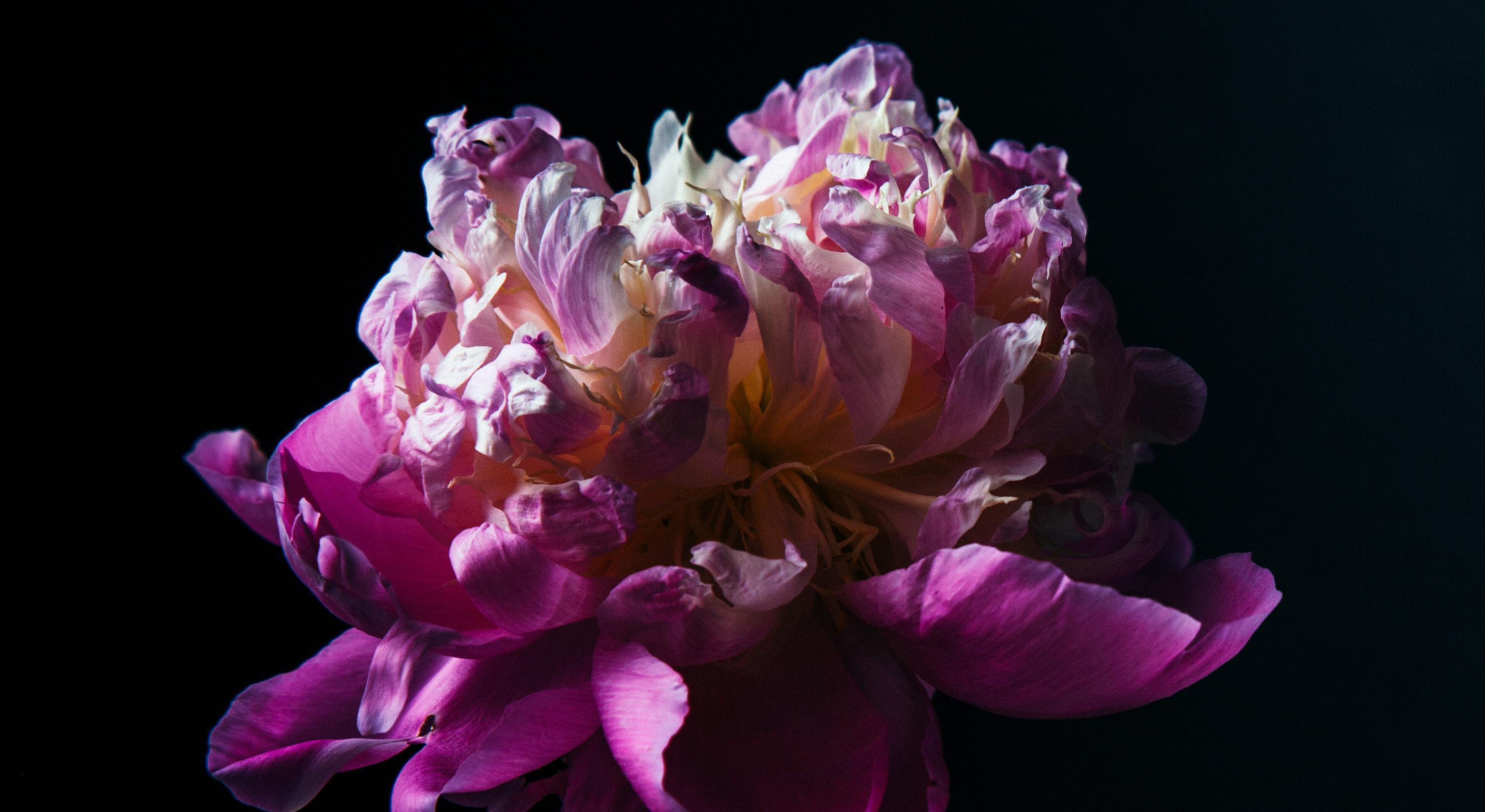 Footer image