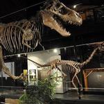 Houston Museum of Natural Science
