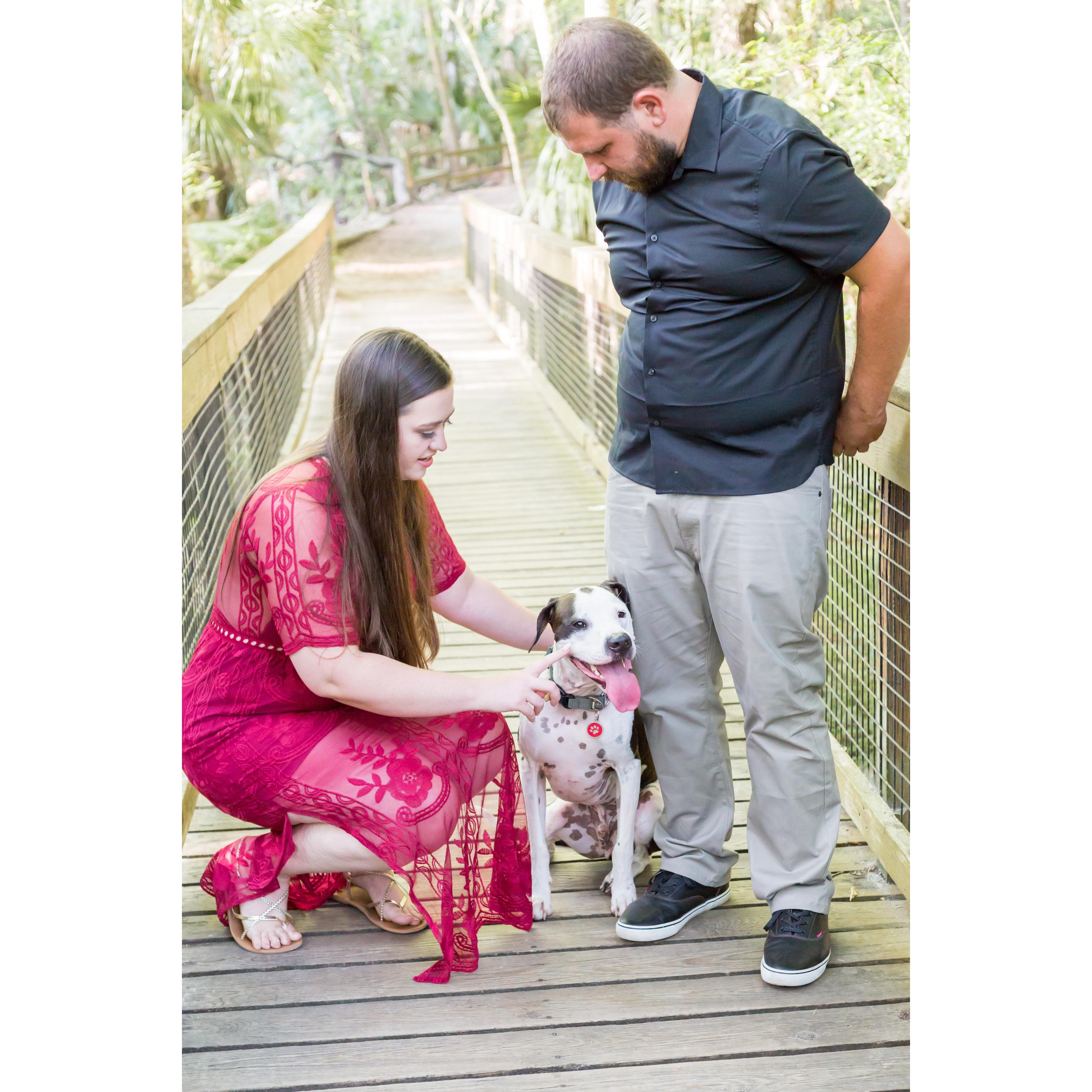 Engagement Pictures with Rascal (and yes, he was being a rascal)