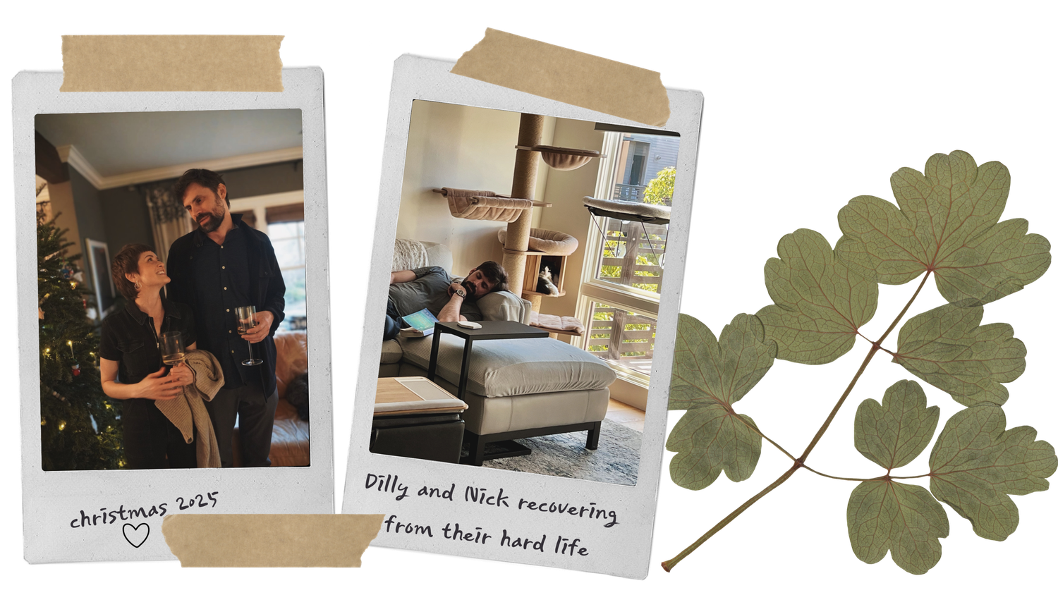 The Wedding Website of Erin Duddy and Nick Haber