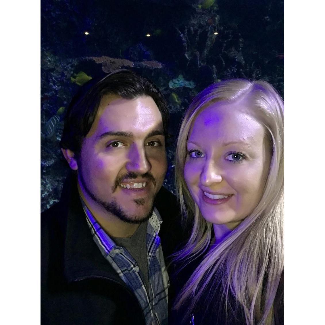 Georgia Aquarium