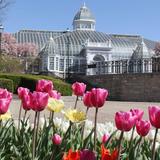 Franklin Park Conservatory and Botanical Gardens
