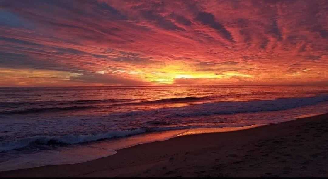 The Wedding Website of Dola Leslie Young and Cory Young Waters