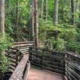 First Landing State Park