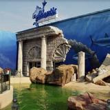 Long Island Aquarium