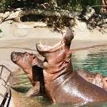 ABQ BioPark Zoo
