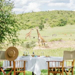 Bush Lunch