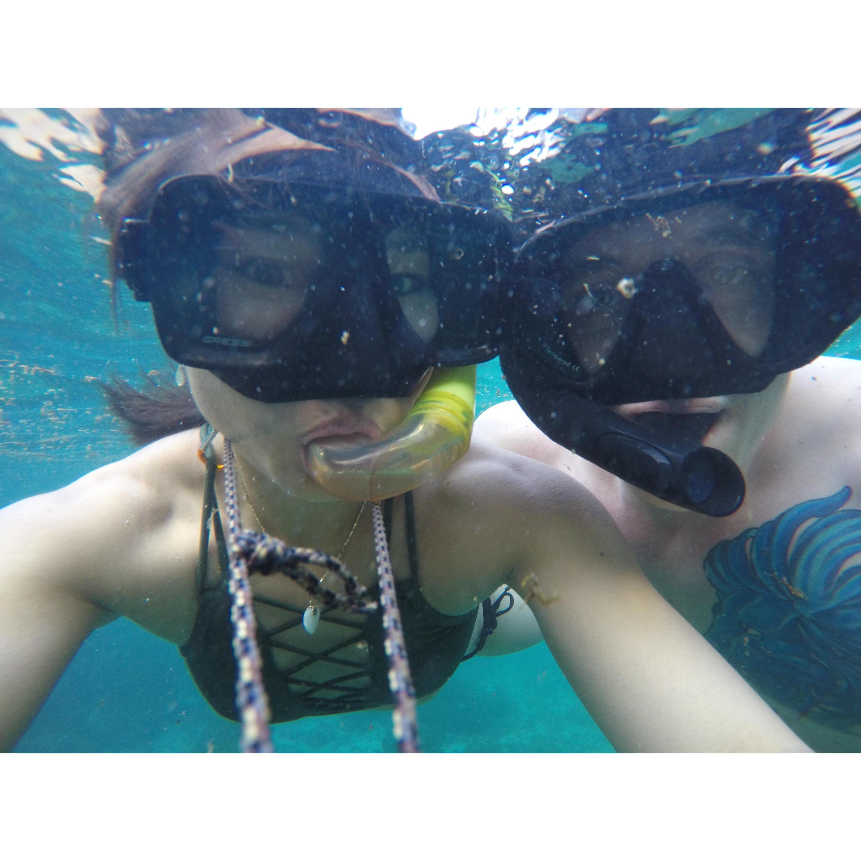 Where them fish at? Galapagos