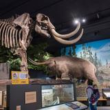 Historical and Science