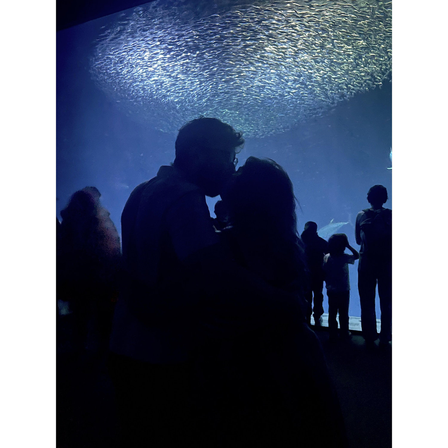 Kissing the girl you love in an aquarium is a 10/10 experience, would recommend.
Feel like that fish is watching us, though. Perv.