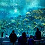 Seattle Aquarium