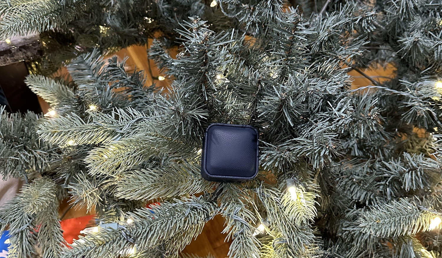 Footer image