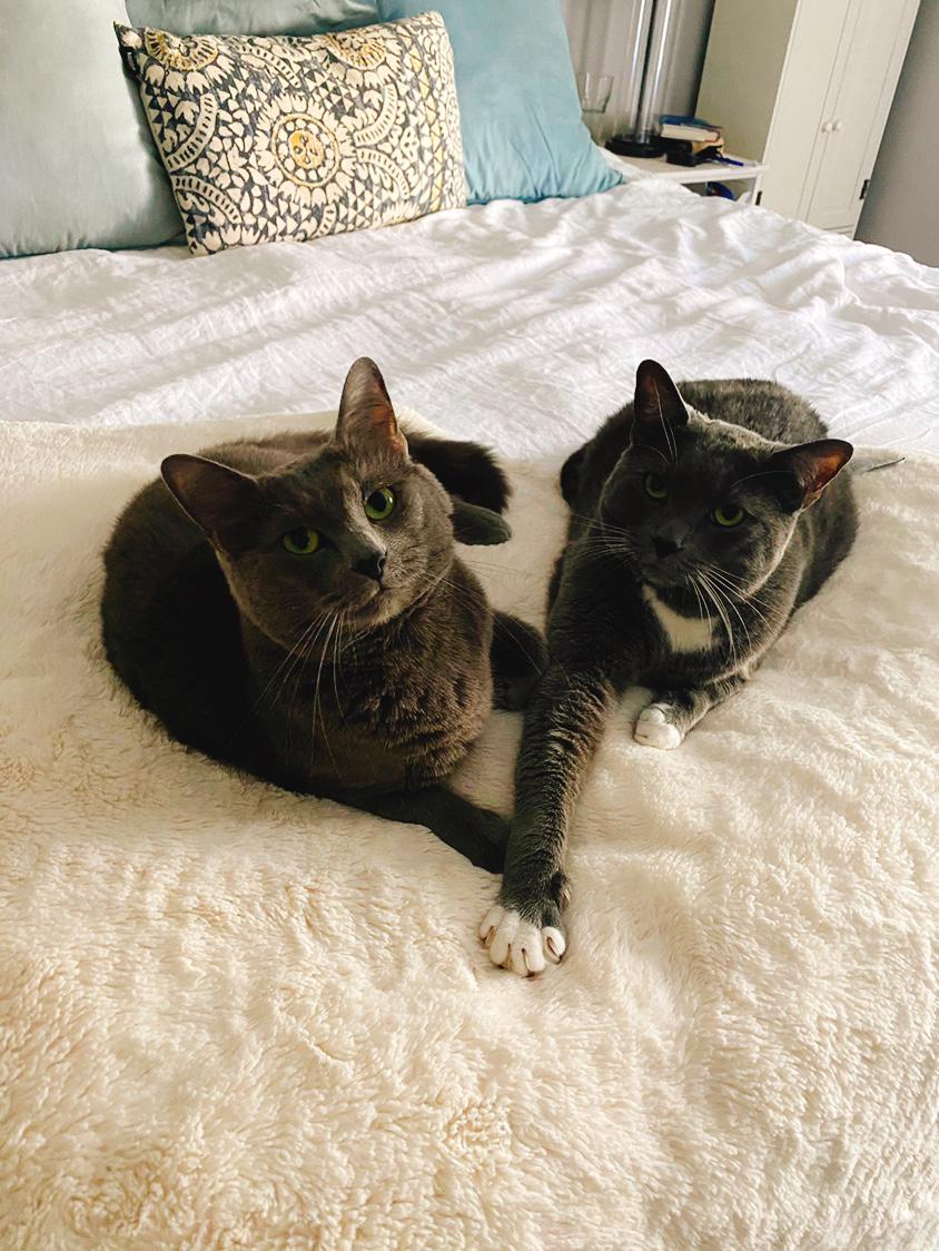 Ty and Blazer now 
Best buds