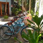 Ola Bike Tulum