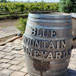 Blue Mountain Vineyards
