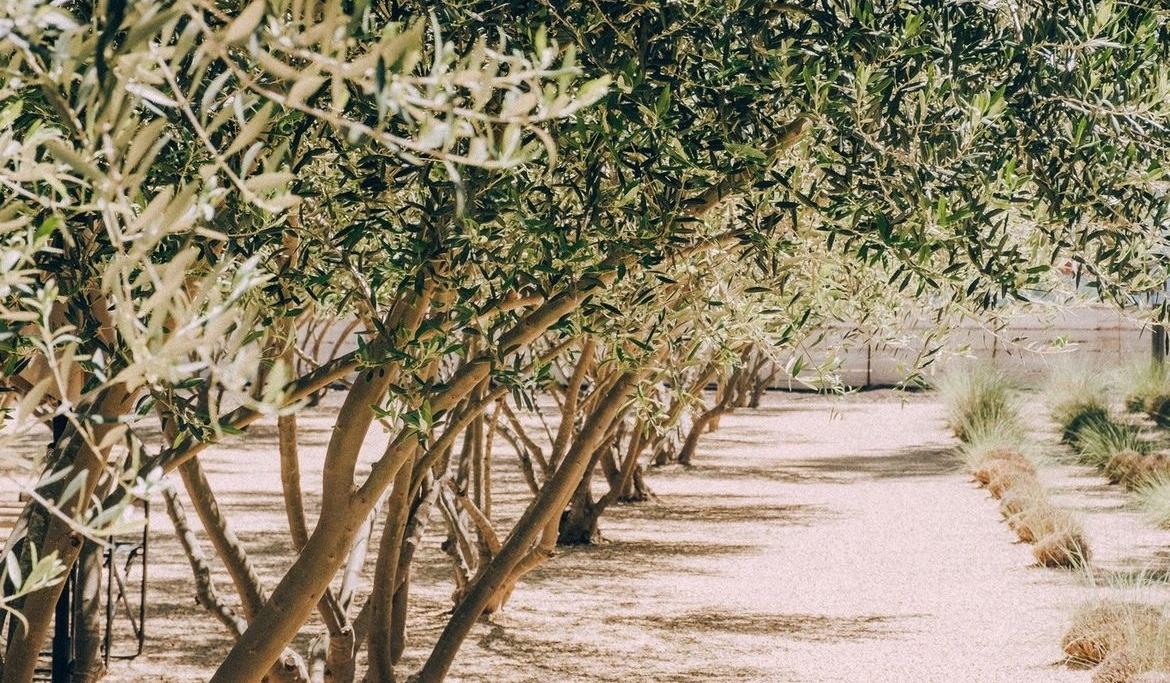 The Wedding Website of Megan Leece and Kyle Giguiere