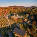 Wolf Mountain Vineyards