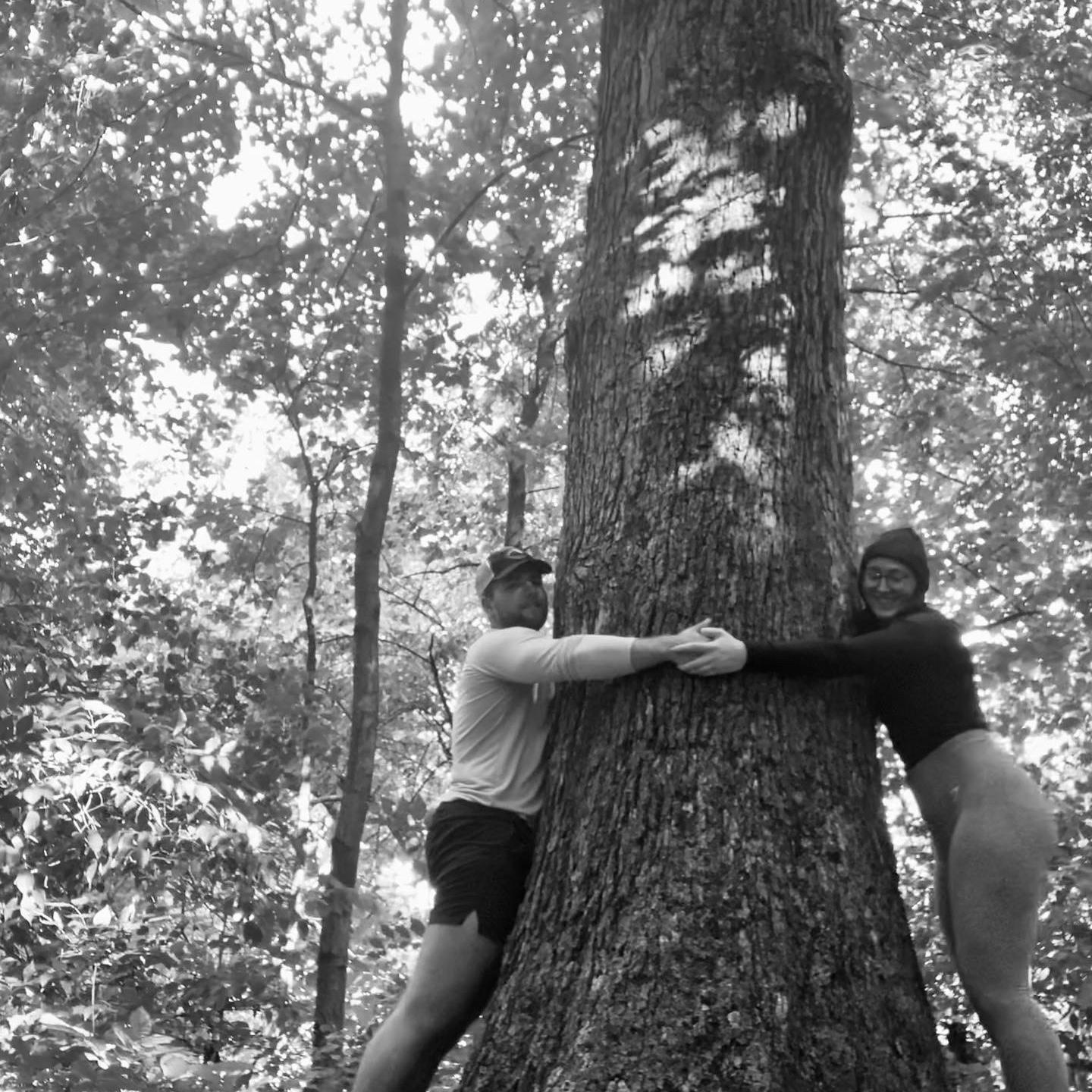 Tree hugs