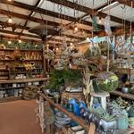 Potting Shed