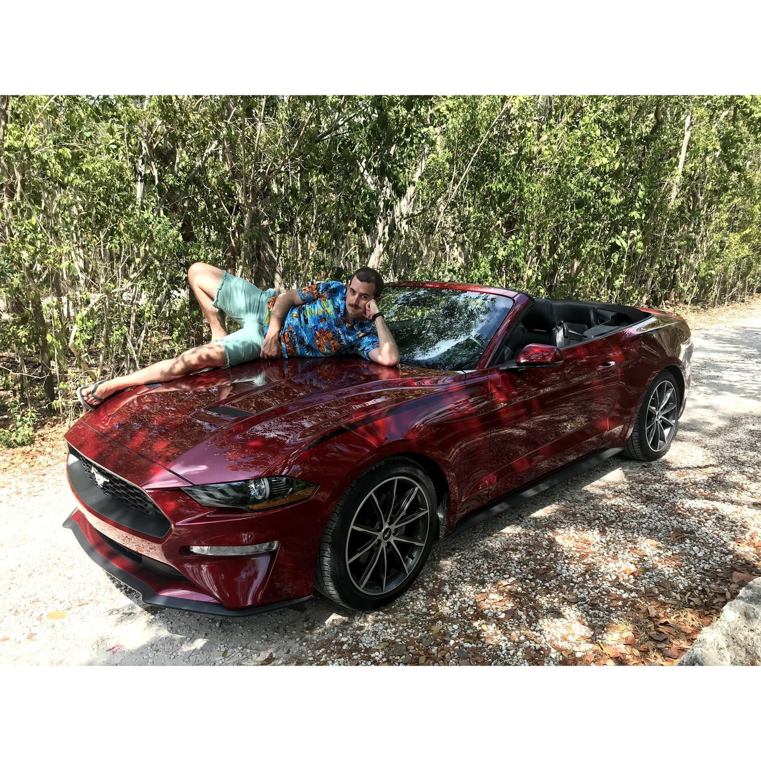 Vacation zaddy, May 2019