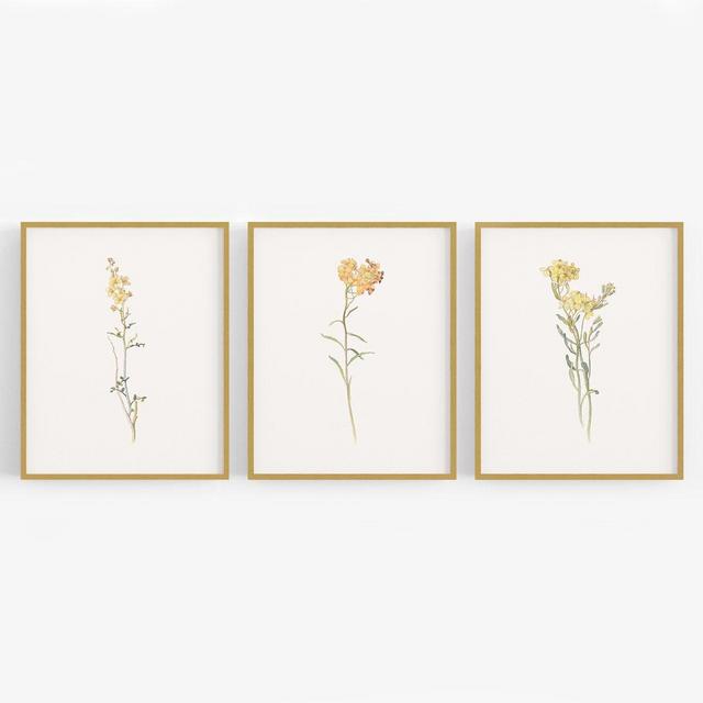 Yellow Wildflower Botanical Art Prints - Set of Three