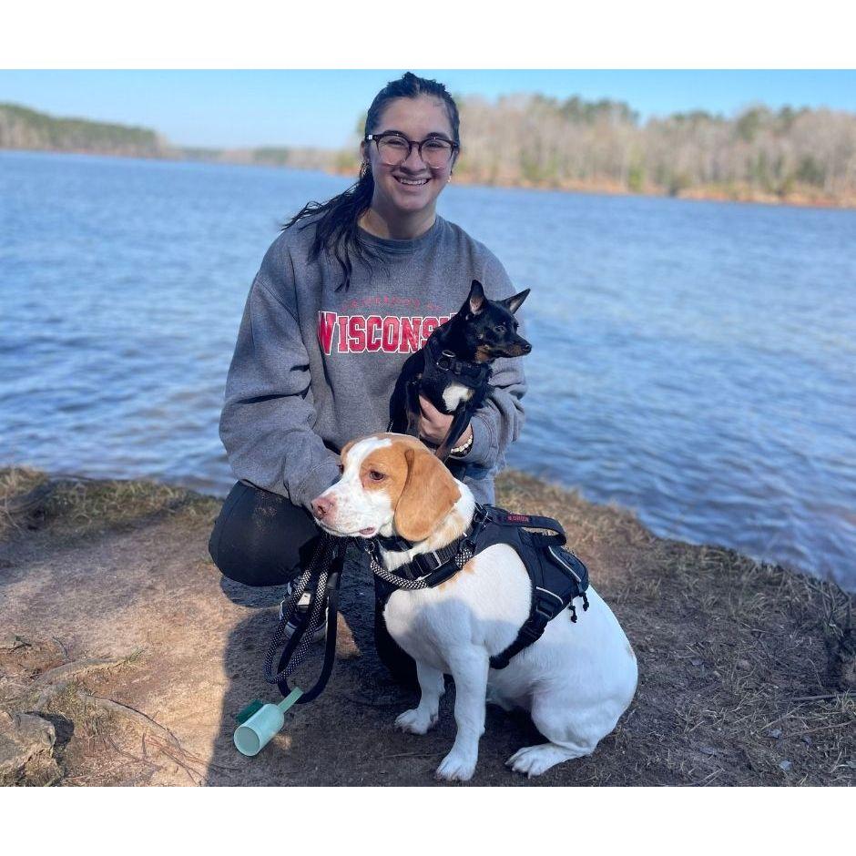 Norma with Bagel and Tippy on a pack walk