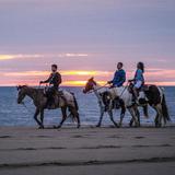 Hatteras Island Horseback Riding