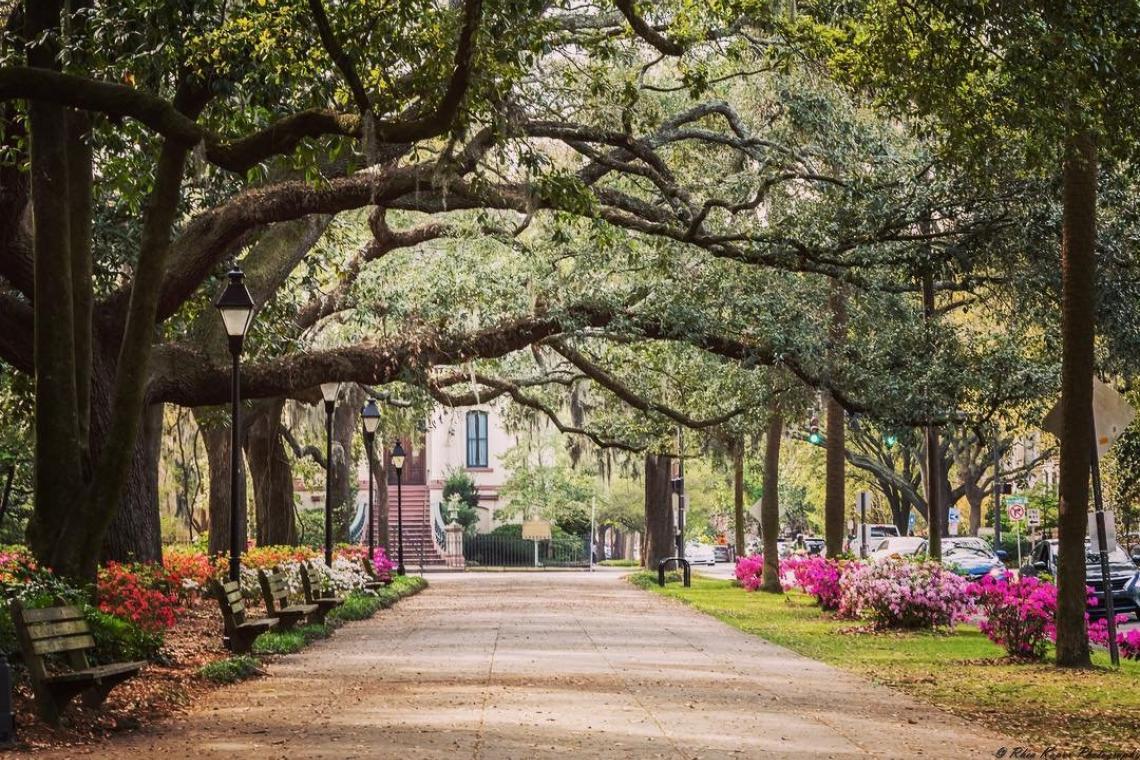 The Wedding Website of Shelby Lloyd and Kerry Cotton