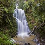 Hiking: Berry Creek Falls Loop Trail