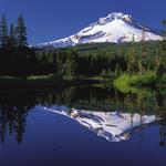 Mount Hood National Forest