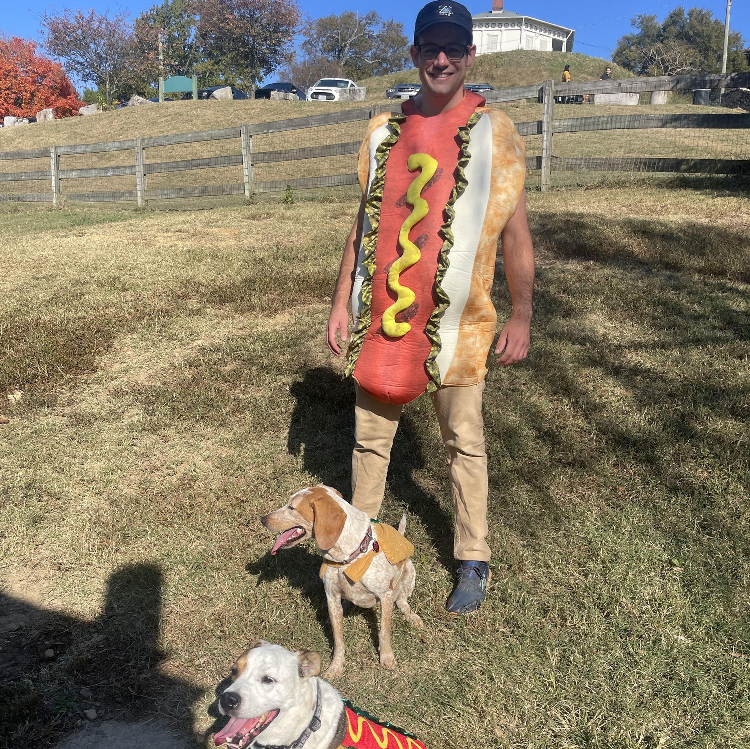Just a trio of hot dogs