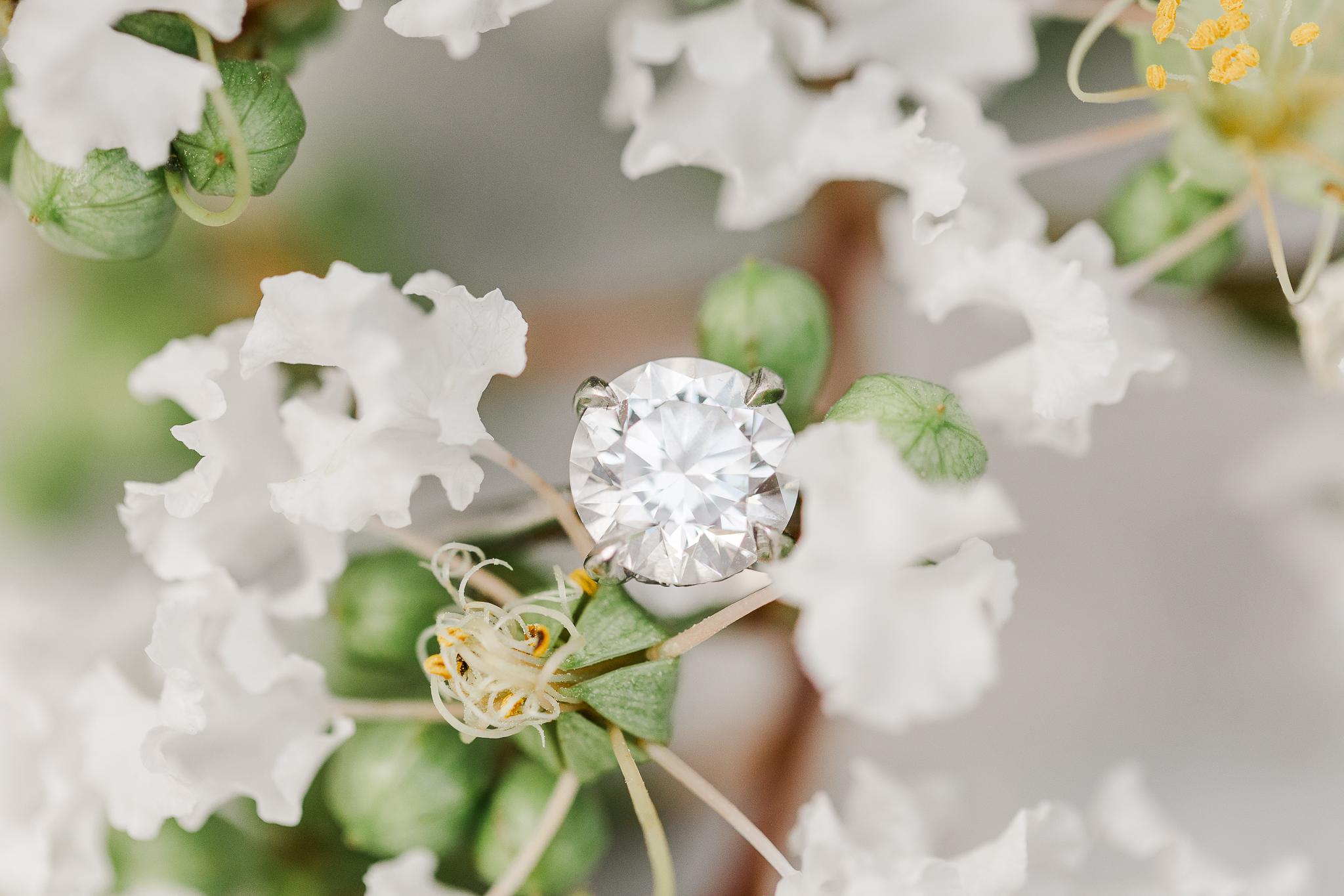 The Wedding Website of Erin Torres and Paul Venezia
