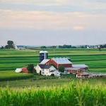 Scenic Farmland Drive