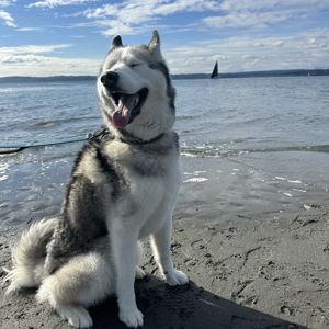 Kai's beach house