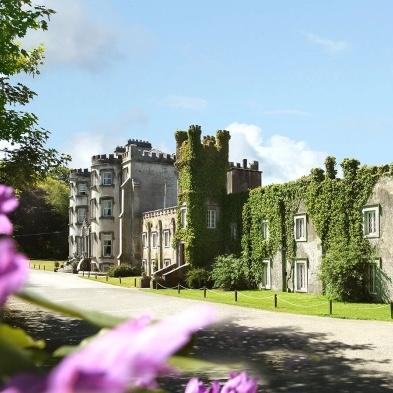 A Castle Tour 🏰