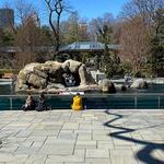 Central Park Zoo