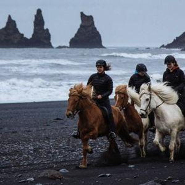 Black Sand Beach Horse Riding Tour