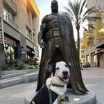 Local Cultural Market (and Batman Statue)