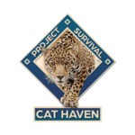 Project Survival Cat Haven