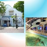 Key West Aquarium