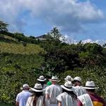Coffee tour