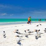 Lido Key Beach